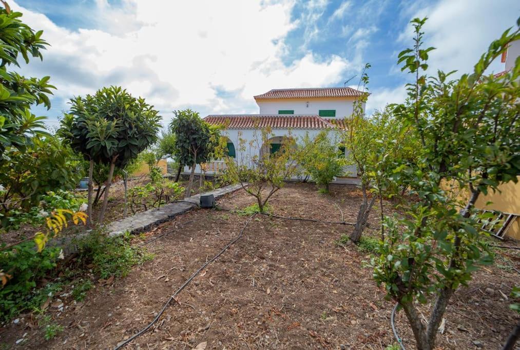 Villa Teram アラヘロ エクステリア 写真